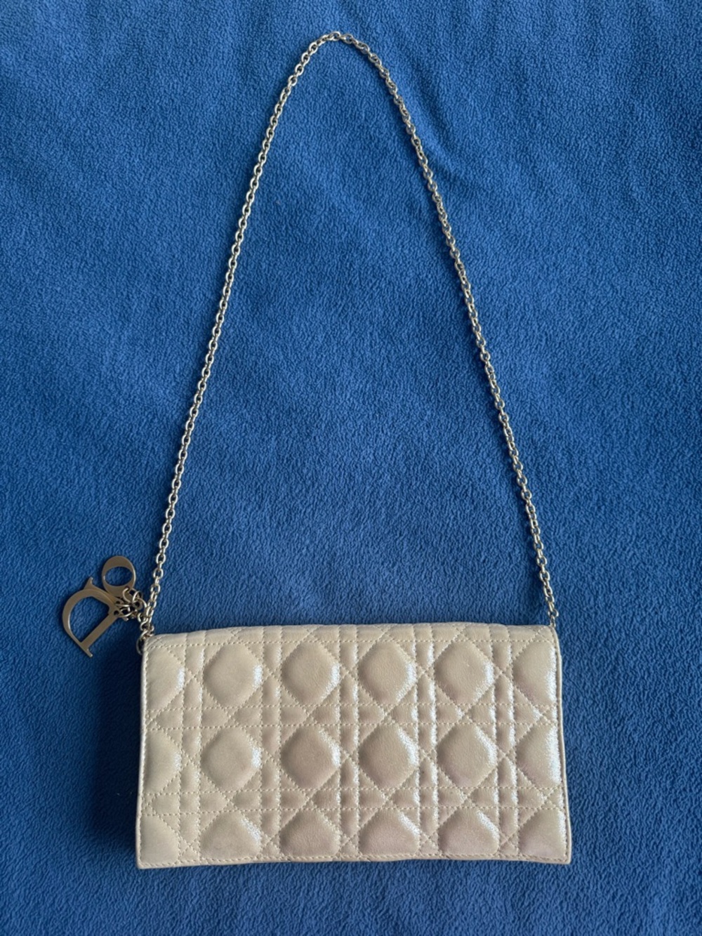 Christian Dior Clutch